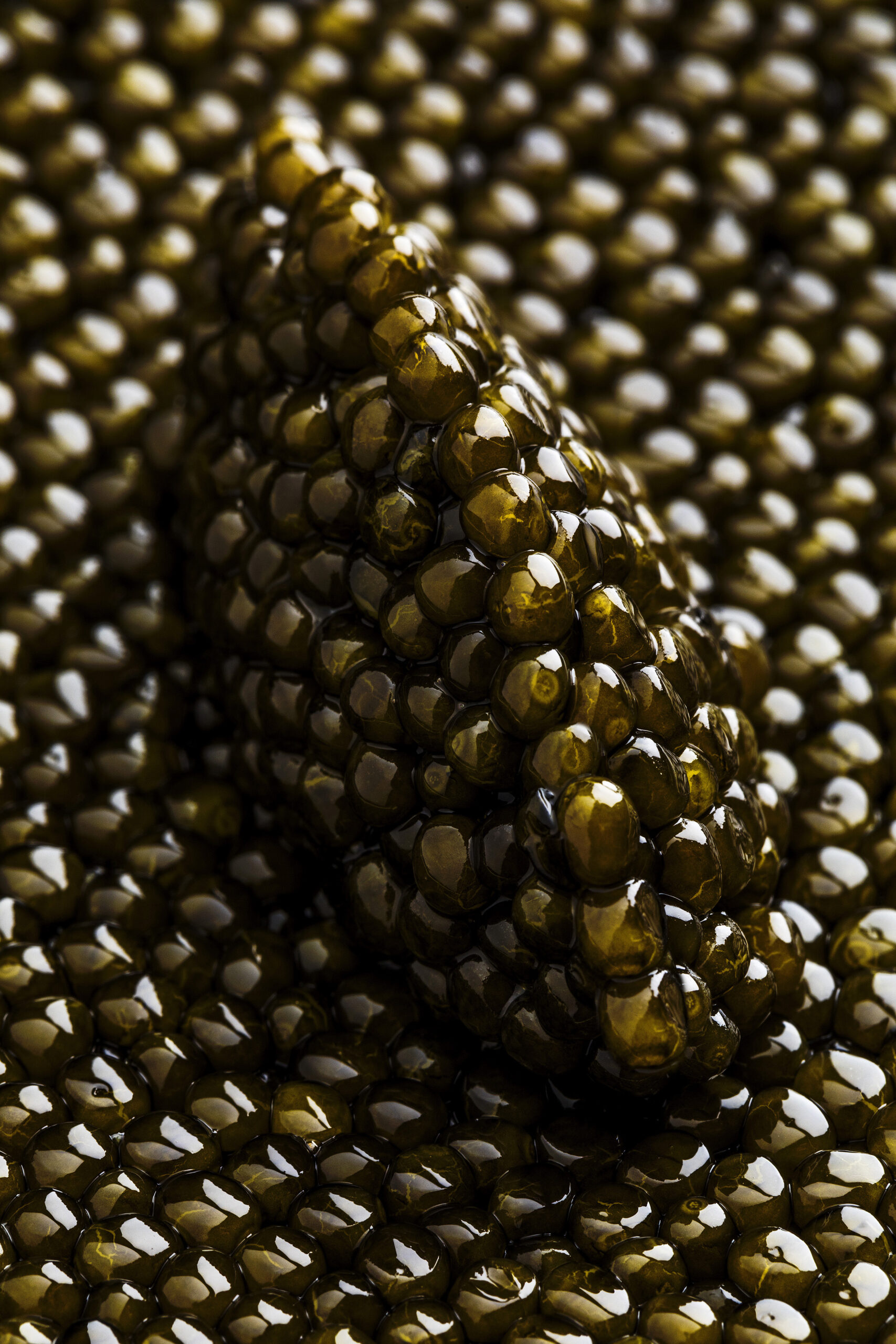 Special Pixels Food 26