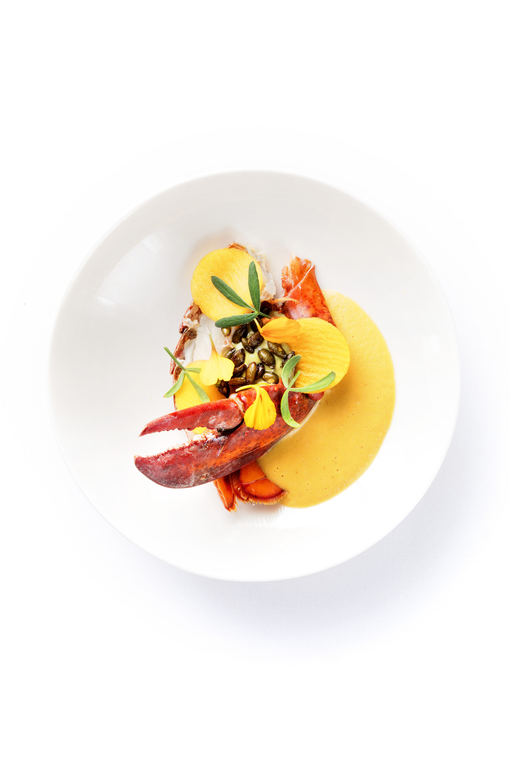 Special Pixels Food 42