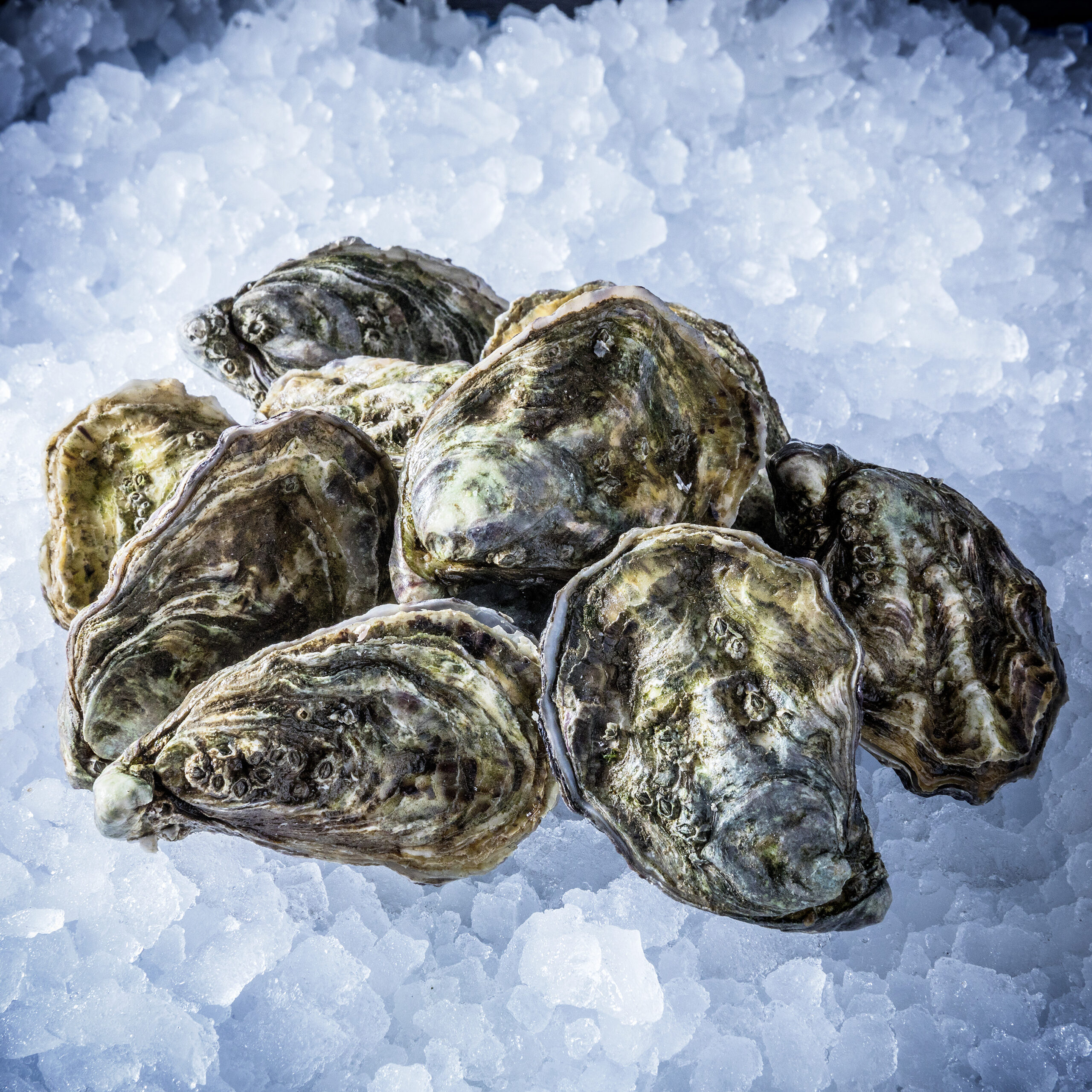 Special Pixels Food 53