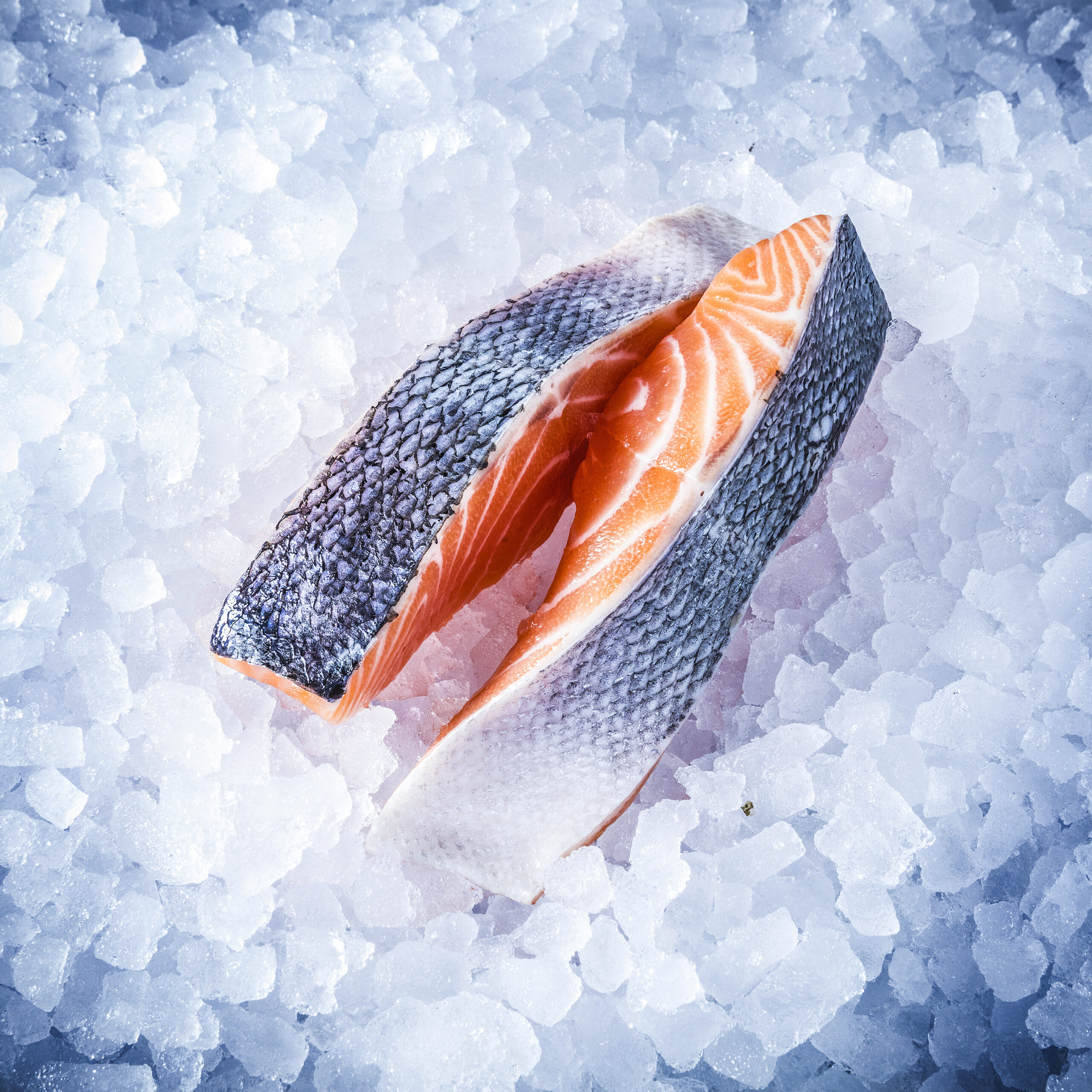 Special Pixels Food 54