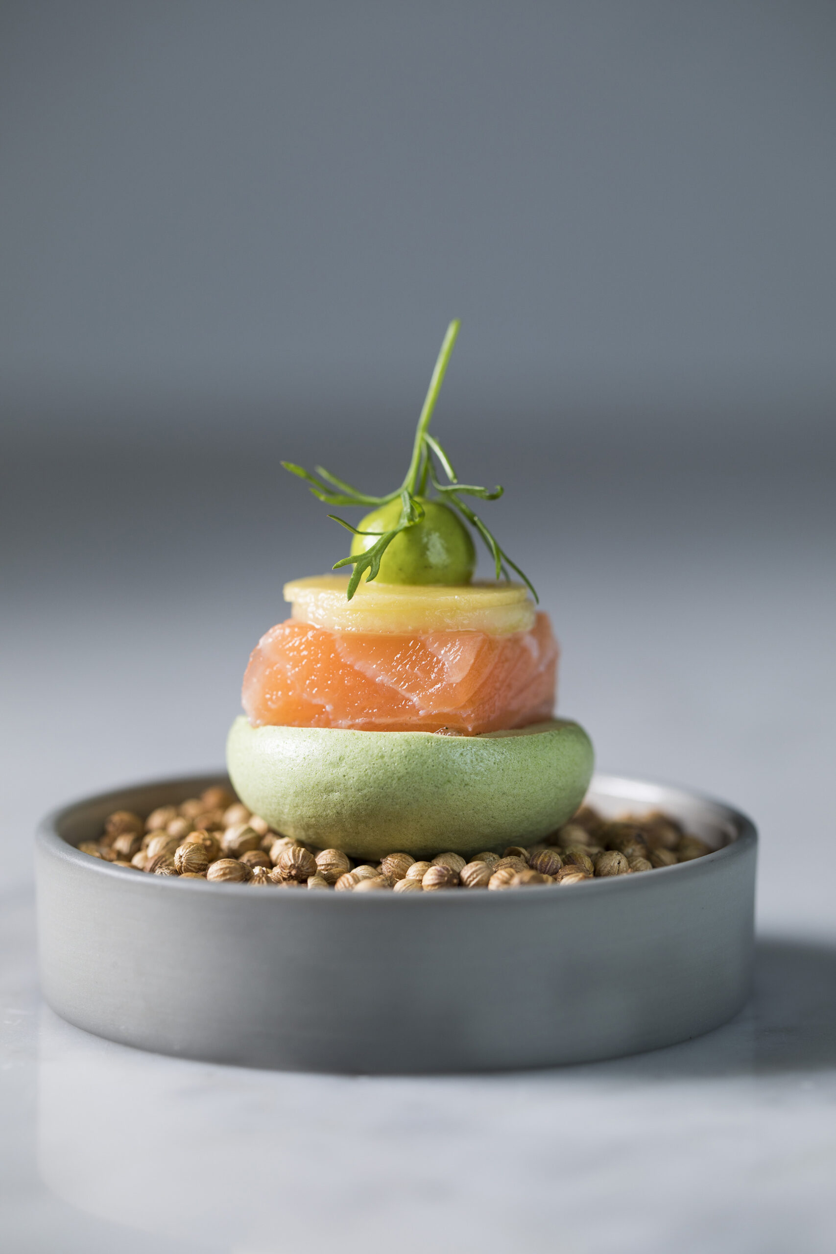 Special Pixels Food 62